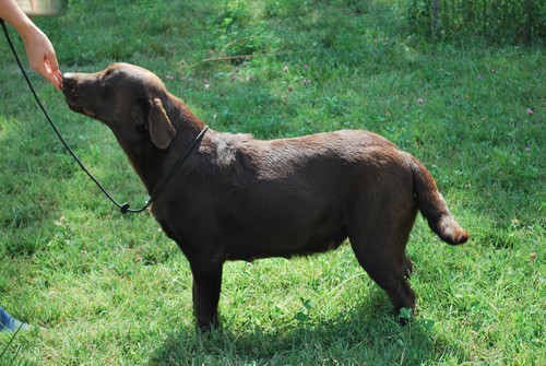 Publication : of park heaven