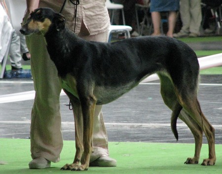 CH. Cenna Titre Initial