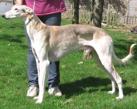 Do it Of Joalland's Bay