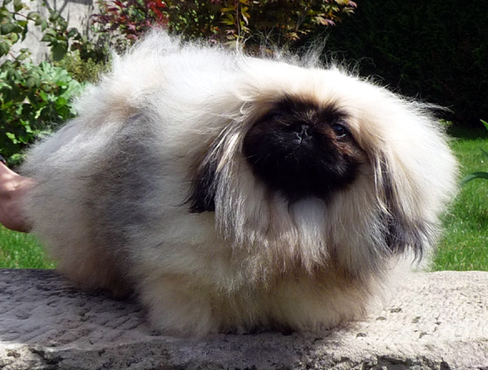 Viktor astarte iz zhasminovogo dvortsa