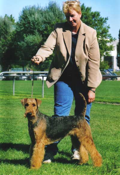 Froggymix of the ambitious home