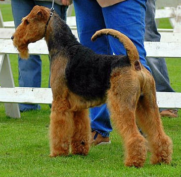 Horatio of the ambitious home