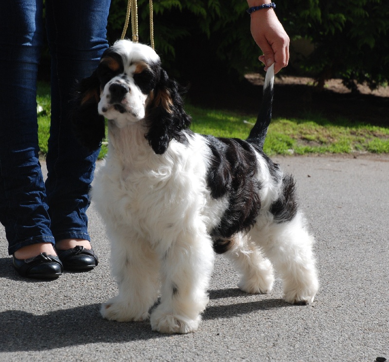 rainbow colors Glamour