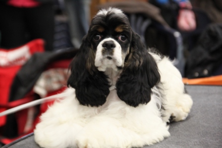 Publication : Nokomis