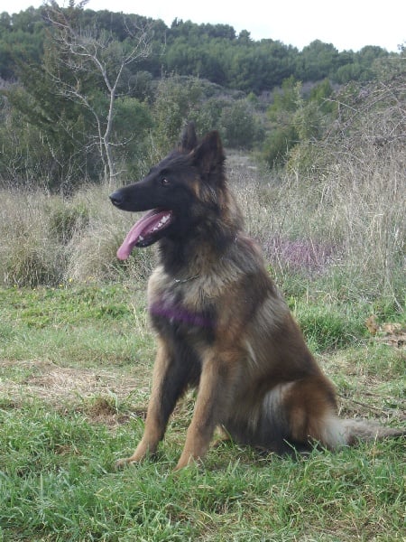 Publication : Du Chrisydo