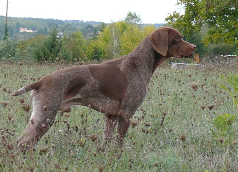 Publication : La Fuente Del Braco