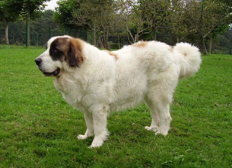 Publication : bordagaray 