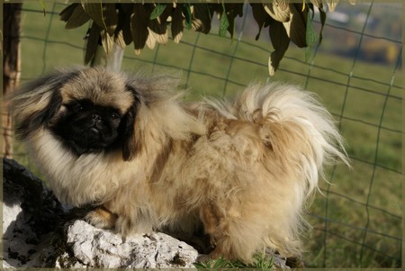 Publication : de l'empire des trois lacs Auteur : PAILLET Régis