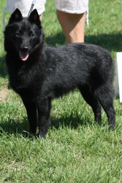 Publication : du clos jennyfer Auteur : Clos Jennyfer