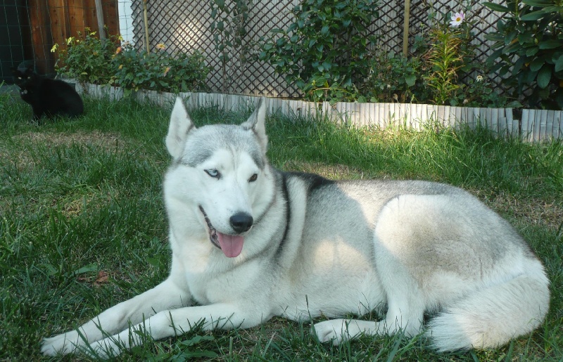 Spirit Of The Wind's Cléo