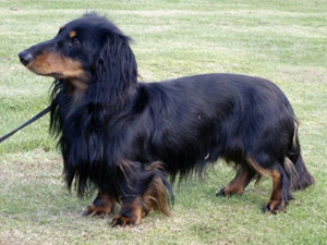 Publication : Vom Siebendörfermoor 