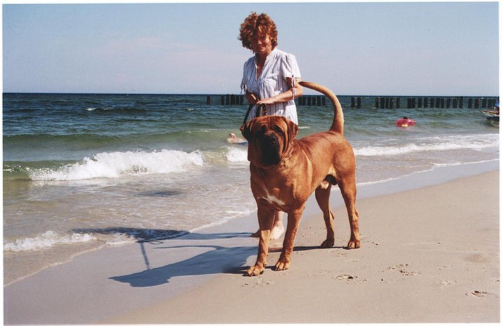 CH. Ninja twierdza samuraja