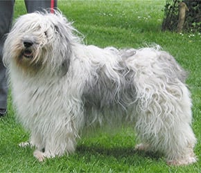 Publication : du Clos des Vignettes 