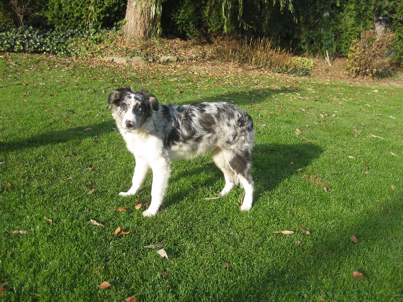 Publication : (Sans Affixe) Auteur : MARCOURT