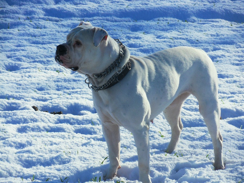 Publication : du Clos Napolitain Auteur : Sandra