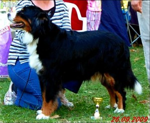 grunschnabel berner Evelyne