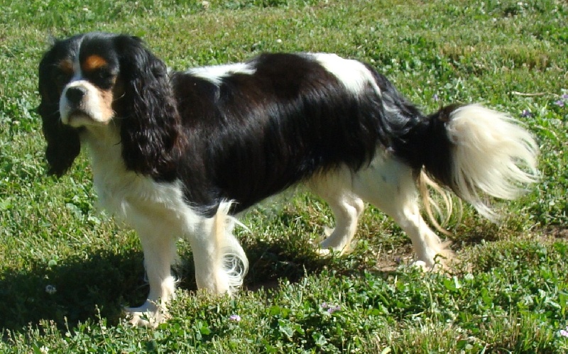 Folie douce De Jereylle