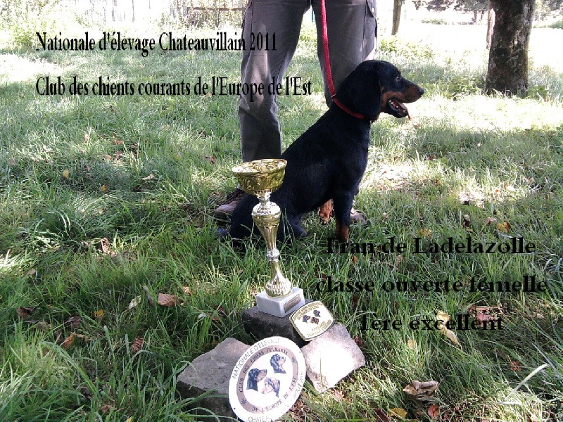 Publication : De La Haie Guérin 