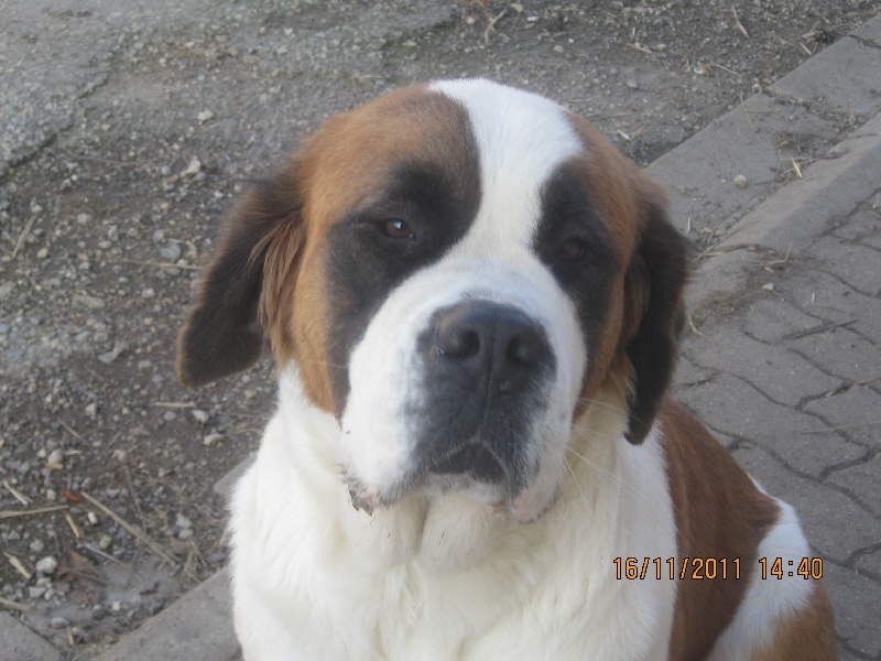 Publication : de la ferme des tremblois 