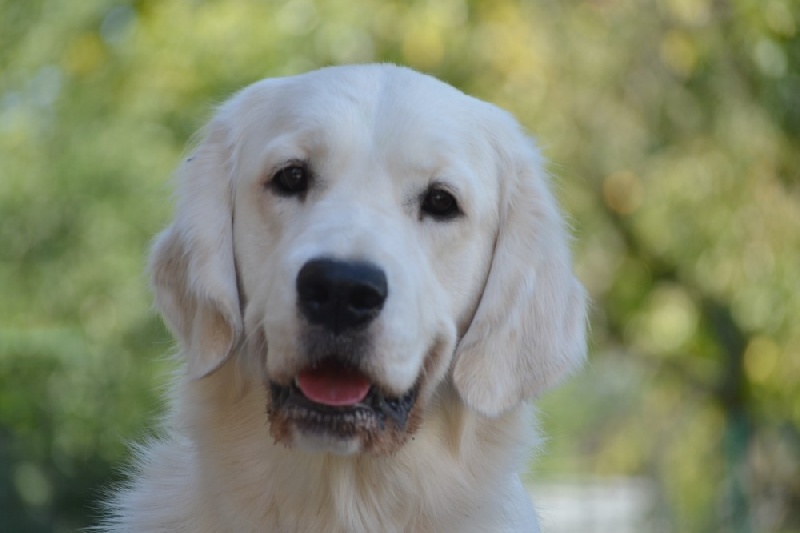 Publication : Secrets of Diva