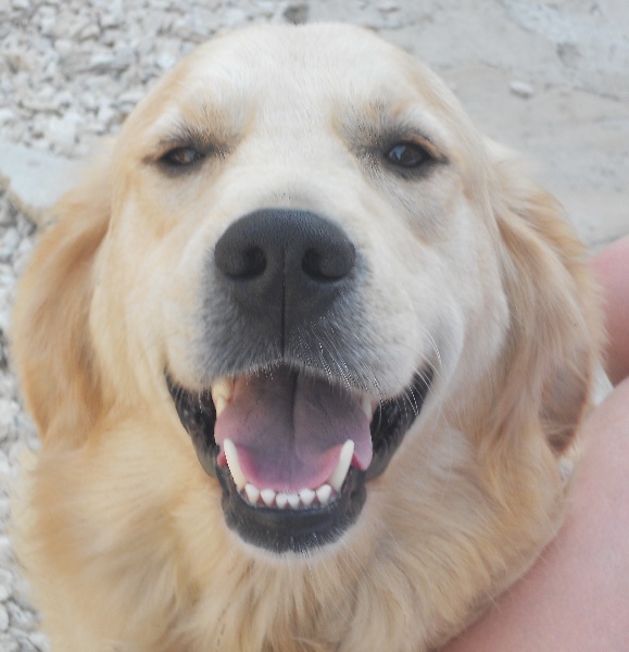 Ellora du Domaine D'Eily