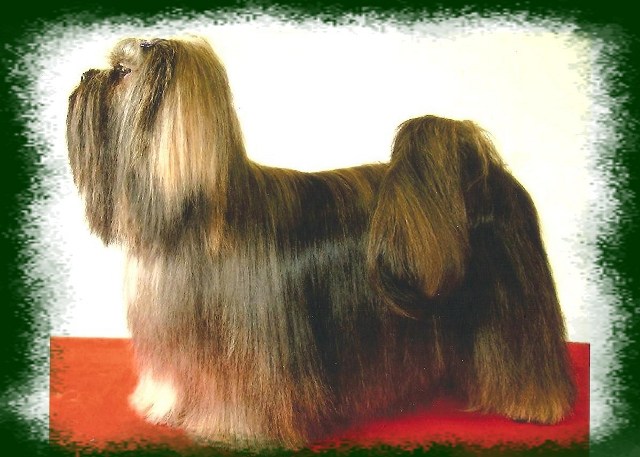 Publication : Du val des trois tilleuls 