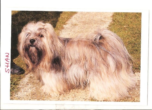 Publication : Du val des trois tilleuls 