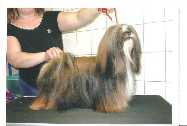 Publication : Du val des trois tilleuls