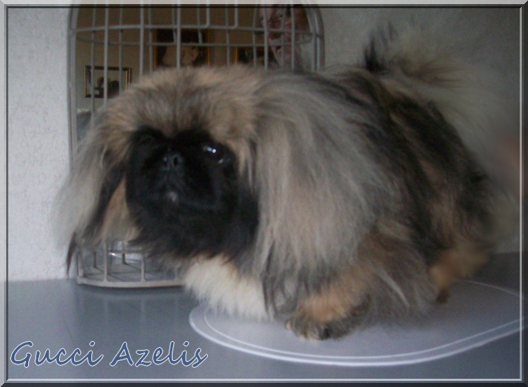 Publication : Des perles de nei-cheng