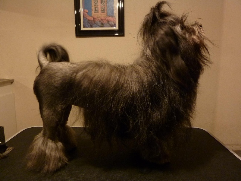 Publication : du Puits d'Eloquengo Auteur : Mme Brigitte MARION