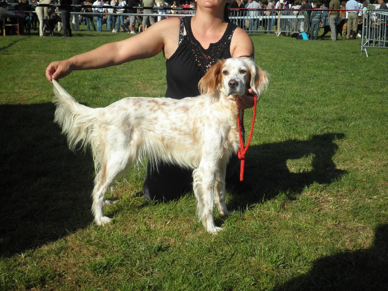 Publication : du Royaume de Diane Auteur : BARATEAU Nathalie