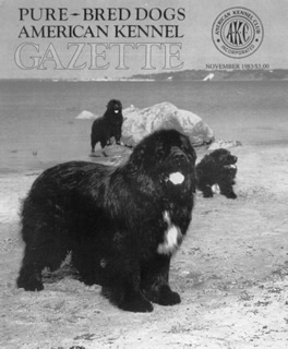 CH. caniz major Skibber