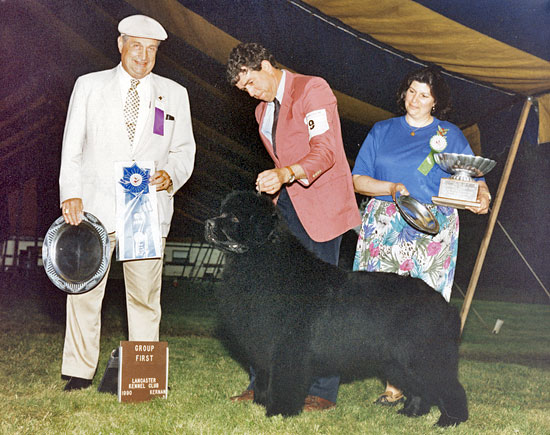 CH. spillways Scarlett o'hara