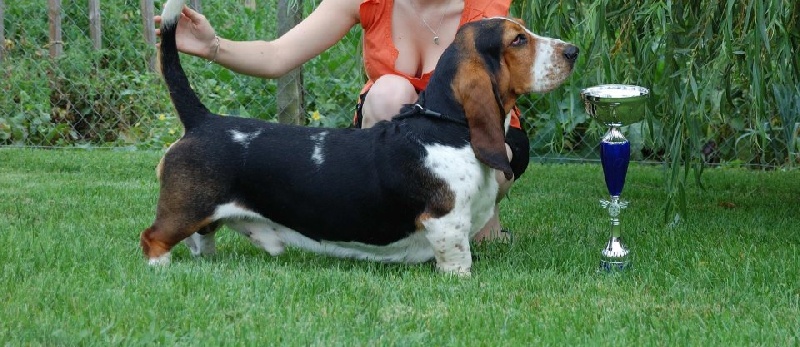 Publication : du Chevalier Gascon