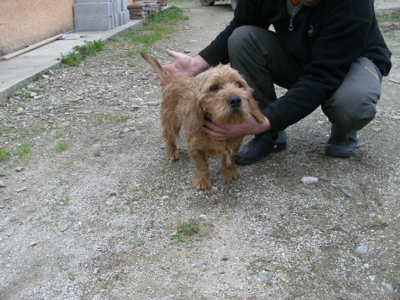 Publication : du rec de la borie Auteur : cazals franck