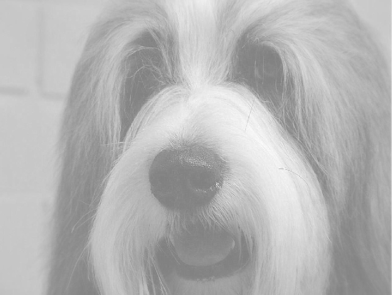 Publication : Vannelle's Field Auteur : Brichau C