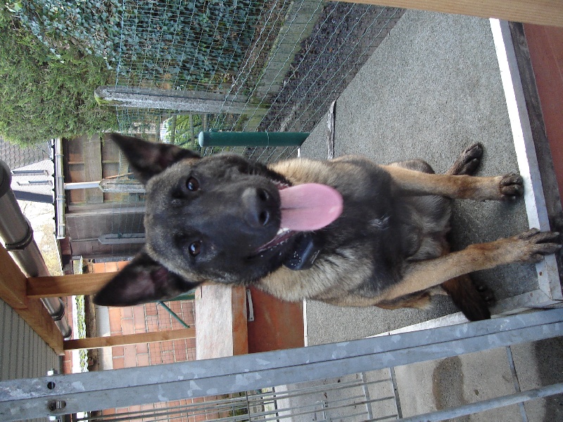 Publication : Van Dorpkant 