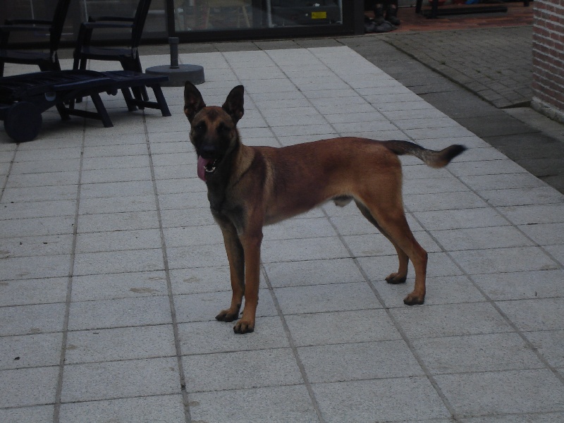 Publication : Van Dorpkant 