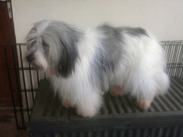 Boski du hameau des bergers