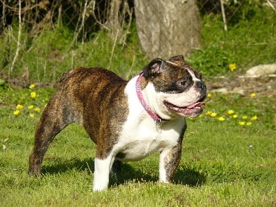 First lady du Moulin de la Terrasse