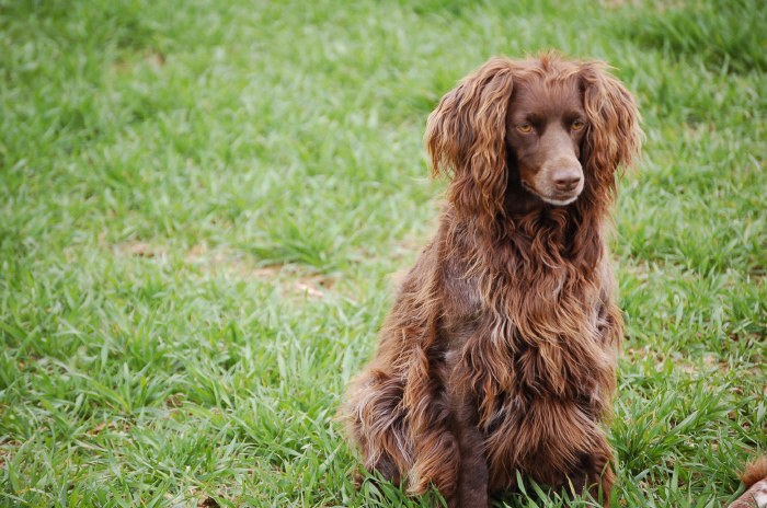 Publication : Du Vent Des Goilles Auteur : marcellin