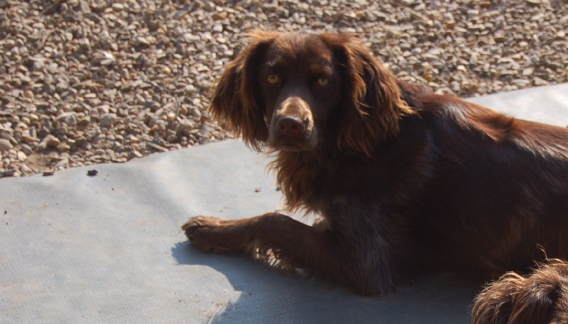 Publication : Du Vent Des Goilles Auteur : marcellin