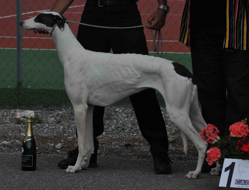 Publication : De belouyeva Auteur : YM