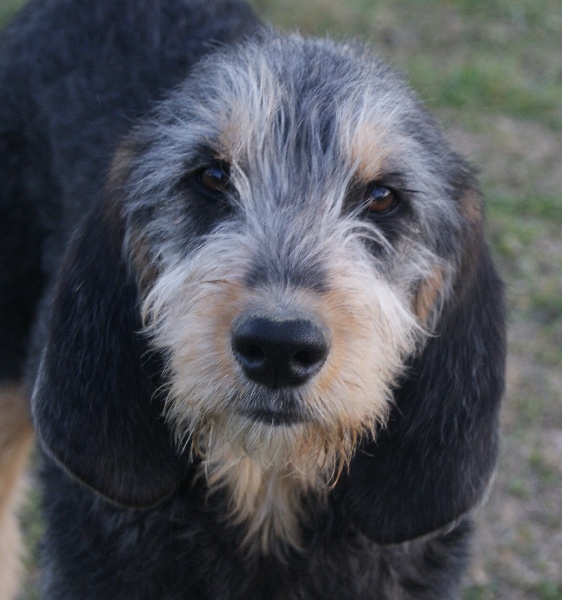 Publication : du roc d'Eden Auteur : Sylvie Hebert