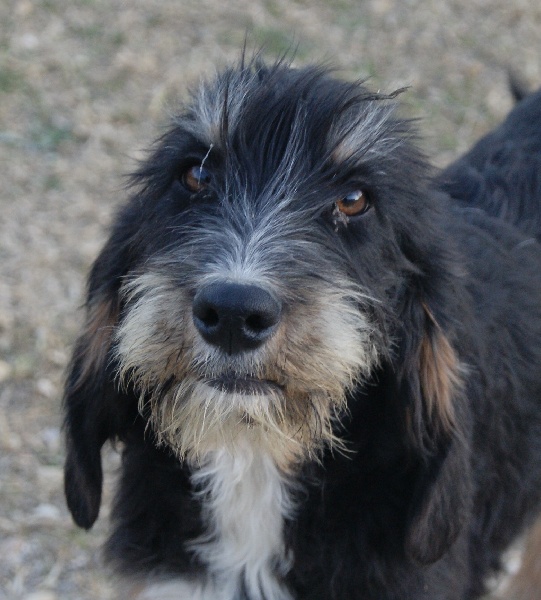 Publication : du roc d'Eden Auteur : Sylvie Hebert