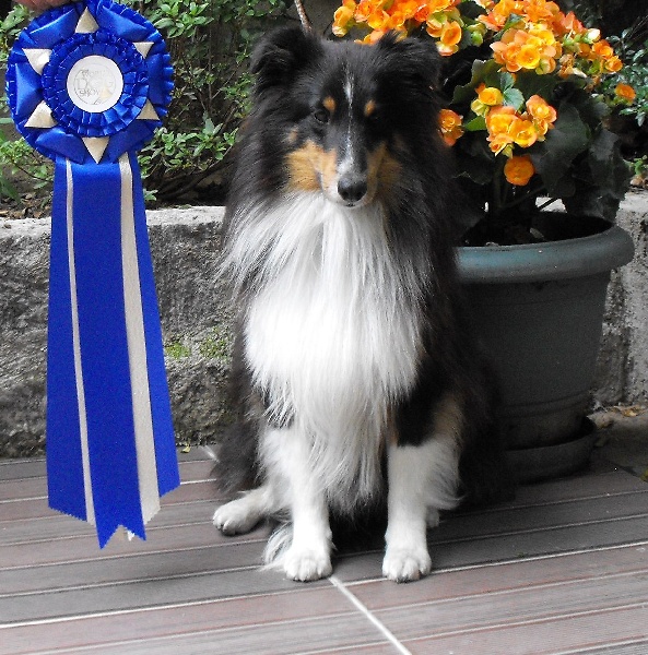 Publication : d'Ares da Serra 