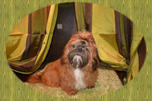 Griotte De la truffe en quercy