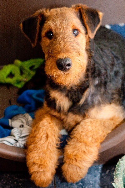 Publication : R u kidding me