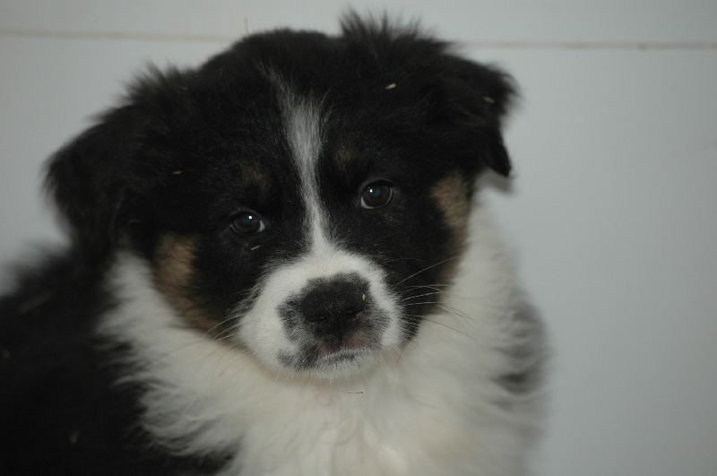 Publication : Domaine de yes I