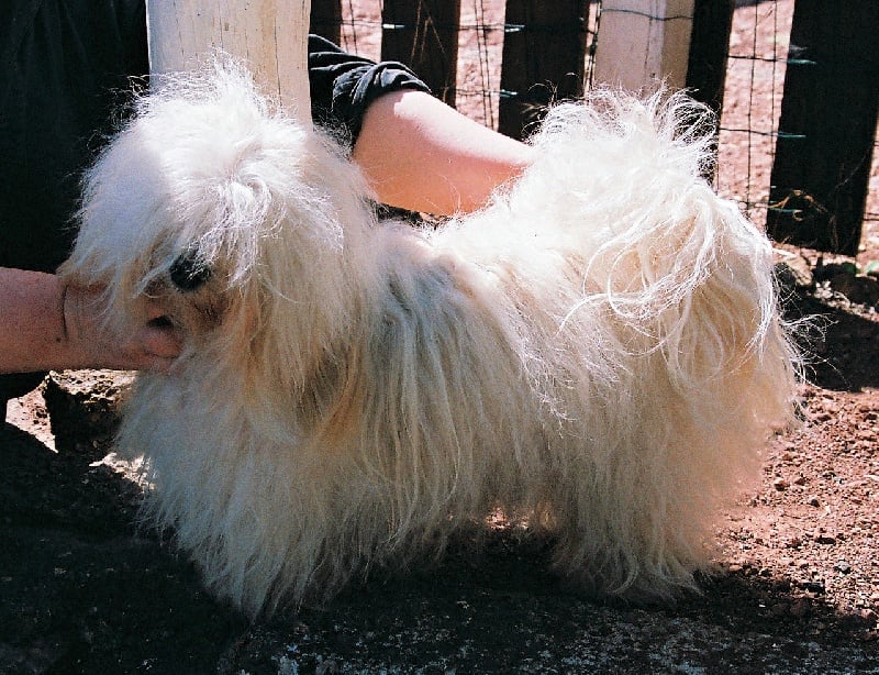 Publication : de L'étoile De Provence Auteur : Myriam Alderton